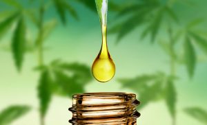 Is CBD Anti-Inflammatory Oil? Where to buy this oil online?