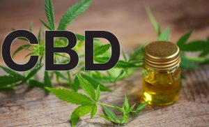 What are the effective ways to use CBD honey?